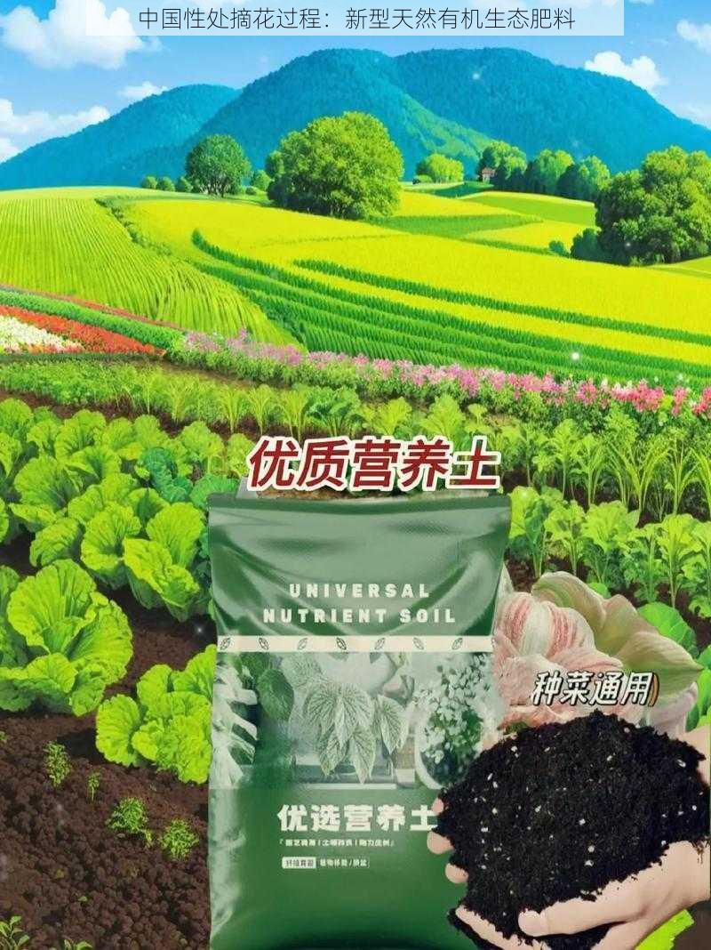 中国性处摘花过程：新型天然有机生态肥料