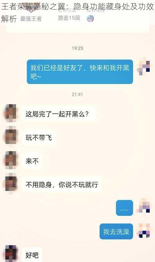 王者荣耀隐秘之翼：隐身功能藏身处及功效解析