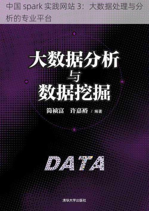 中国 spark 实践网站 3：大数据处理与分析的专业平台