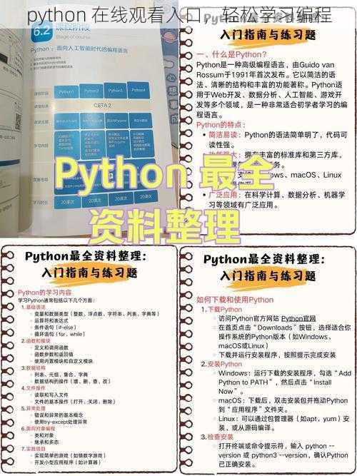 python 在线观看入口，轻松学习编程