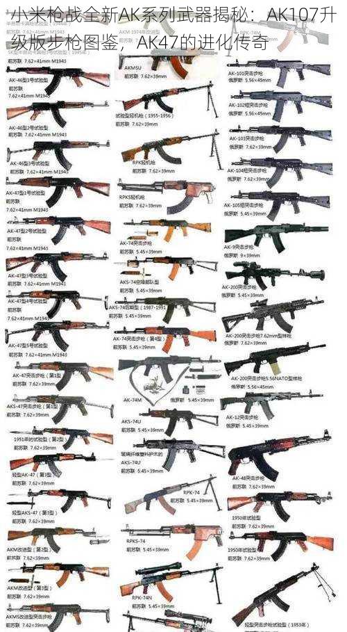 小米枪战全新AK系列武器揭秘：AK107升级版步枪图鉴，AK47的进化传奇