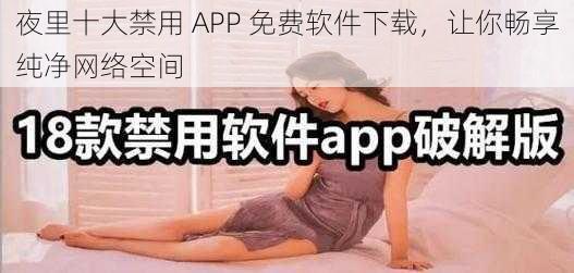 夜里十大禁用 APP 免费软件下载，让你畅享纯净网络空间