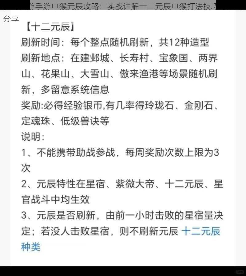 梦幻西游手游申猴元辰攻略：实战详解十二元辰申猴打法技巧与策略分享