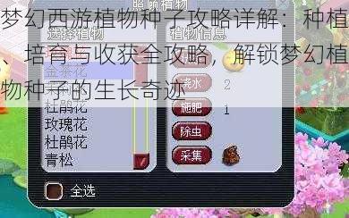 梦幻西游植物种子攻略详解：种植、培育与收获全攻略，解锁梦幻植物种子的生长奇迹