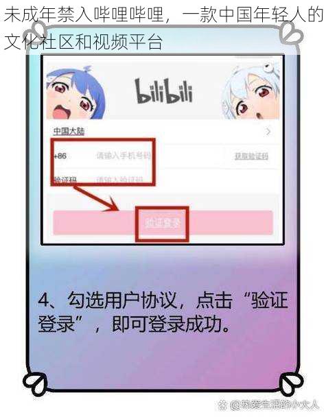 未成年禁入哔哩哔哩，一款中国年轻人的文化社区和视频平台
