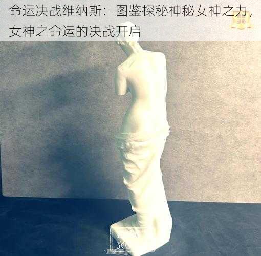 命运决战维纳斯：图鉴探秘神秘女神之力，女神之命运的决战开启