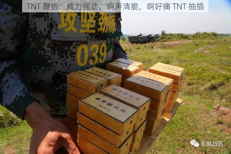 TNT 鞭炮：威力强劲，响声清脆，啊好痛 TNT 抽插