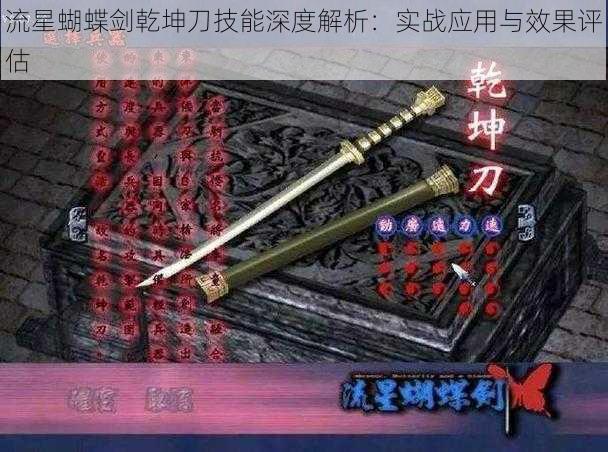 流星蝴蝶剑乾坤刀技能深度解析：实战应用与效果评估