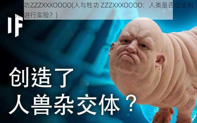 人与牲功ZZZXXXOOOO(人与牲功 ZZZXXXOOOO：人类是否应该利用动物进行实验？)