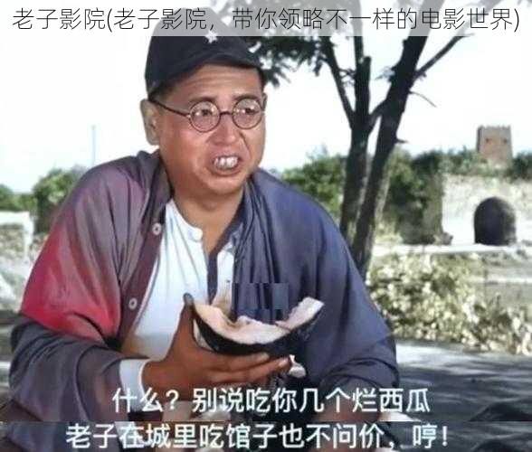 老子影院(老子影院，带你领略不一样的电影世界)