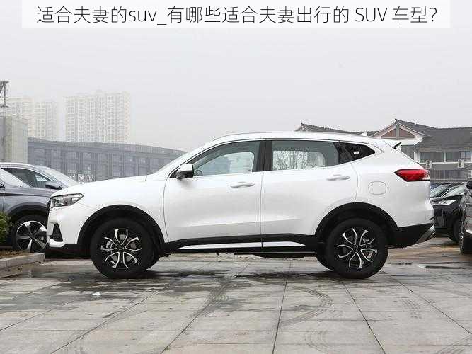 适合夫妻的suv_有哪些适合夫妻出行的 SUV 车型？