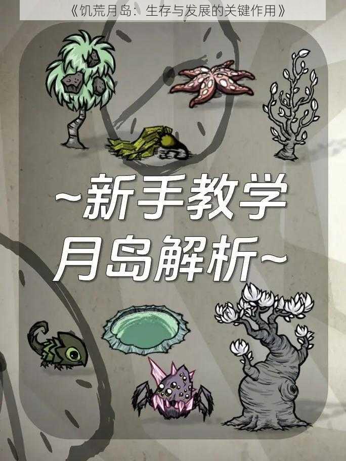 《饥荒月岛：生存与发展的关键作用》