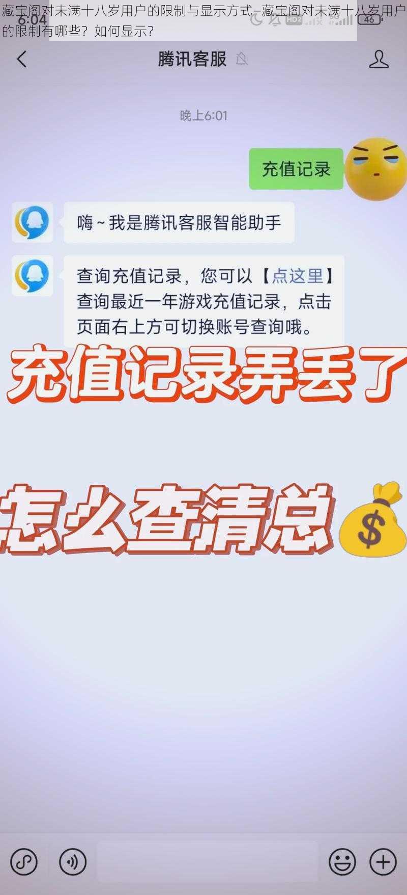 藏宝阁对未满十八岁用户的限制与显示方式—藏宝阁对未满十八岁用户的限制有哪些？如何显示？