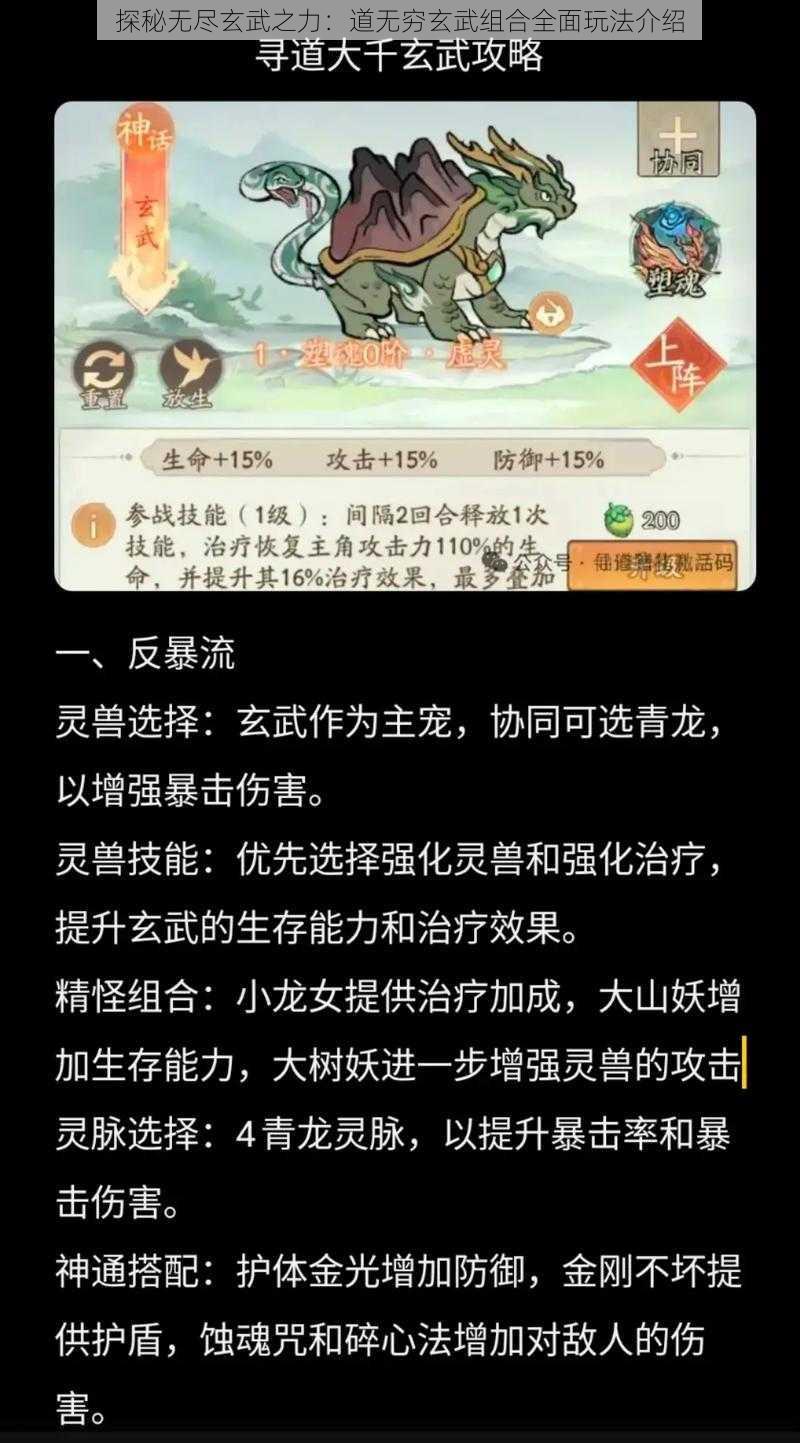 探秘无尽玄武之力：道无穷玄武组合全面玩法介绍