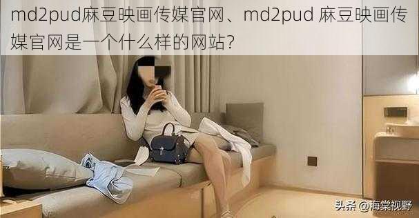 md2pud麻豆映画传媒官网、md2pud 麻豆映画传媒官网是一个什么样的网站？