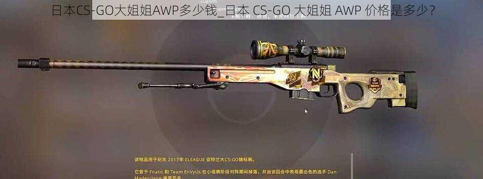 日本CS-GO大姐姐AWP多少钱_日本 CS-GO 大姐姐 AWP 价格是多少？