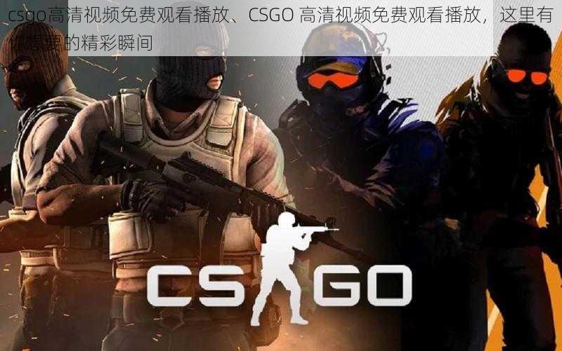 csgo高清视频免费观看播放、CSGO 高清视频免费观看播放，这里有你想要的精彩瞬间