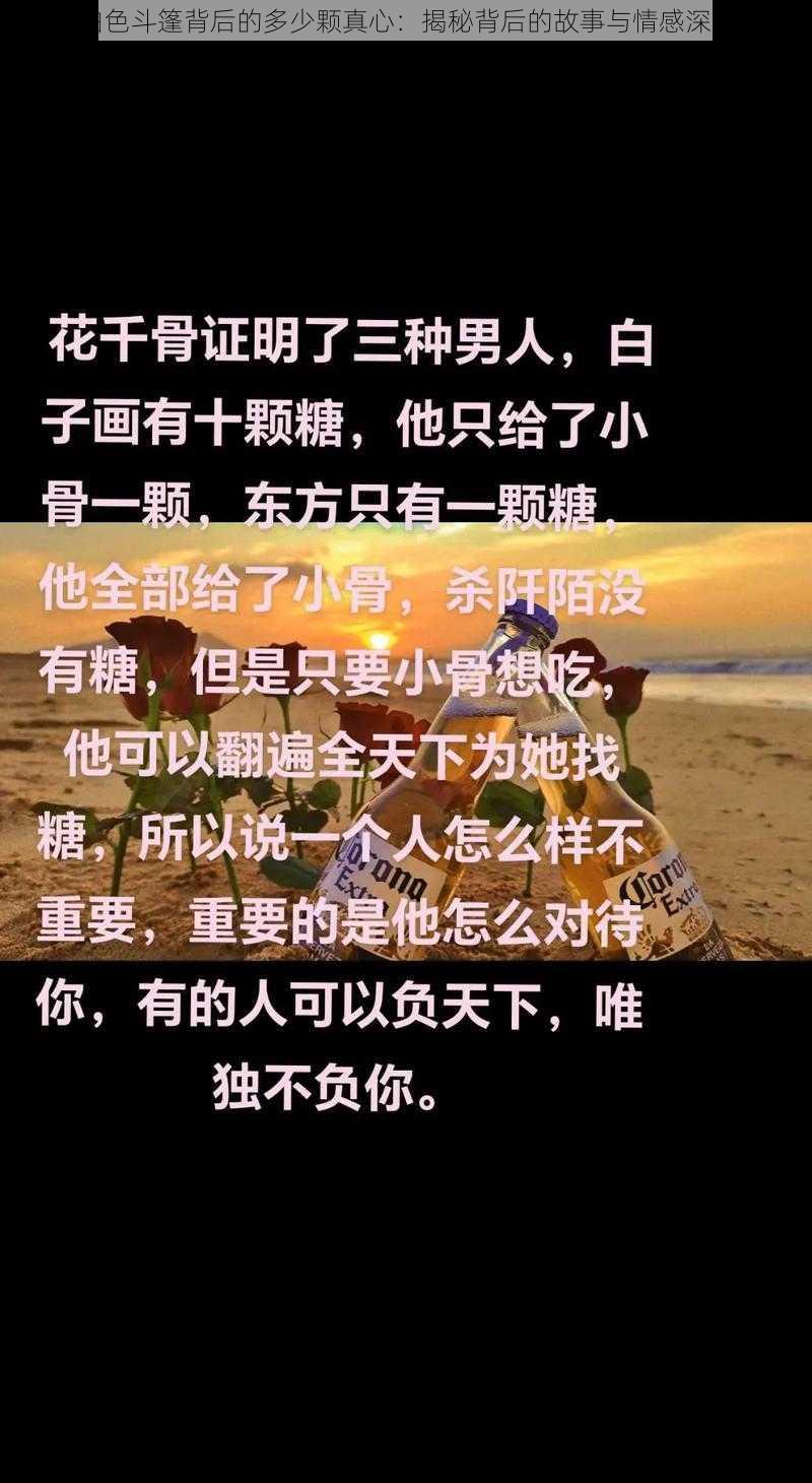 白色斗篷背后的多少颗真心：揭秘背后的故事与情感深度