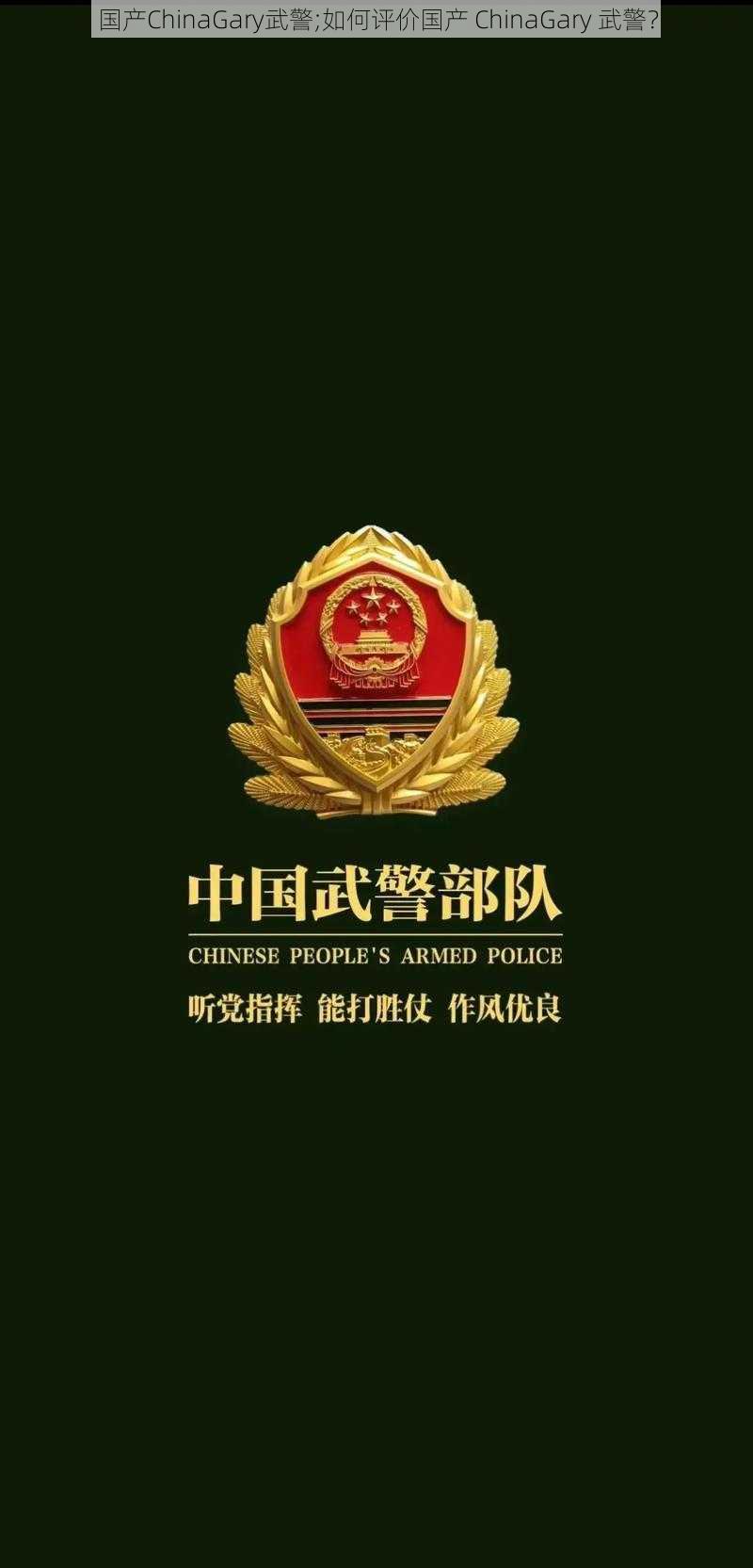 国产ChinaGary武警;如何评价国产 ChinaGary 武警？