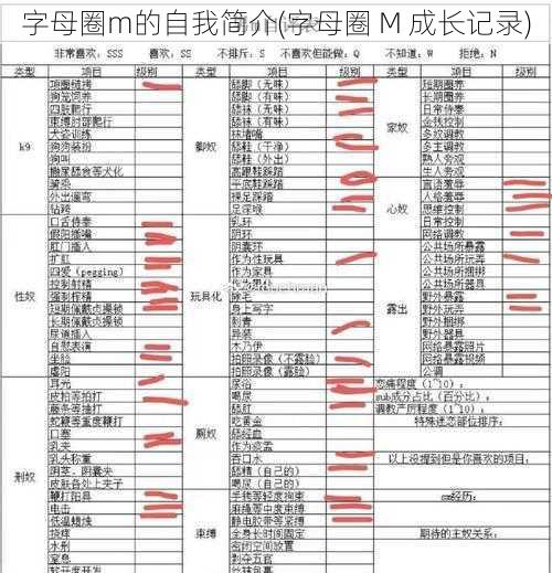 字母圈m的自我简介(字母圈 M 成长记录)