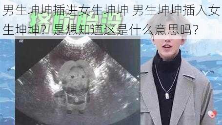 男生坤坤插进女生坤坤 男生坤坤插入女生坤坤？是想知道这是什么意思吗？