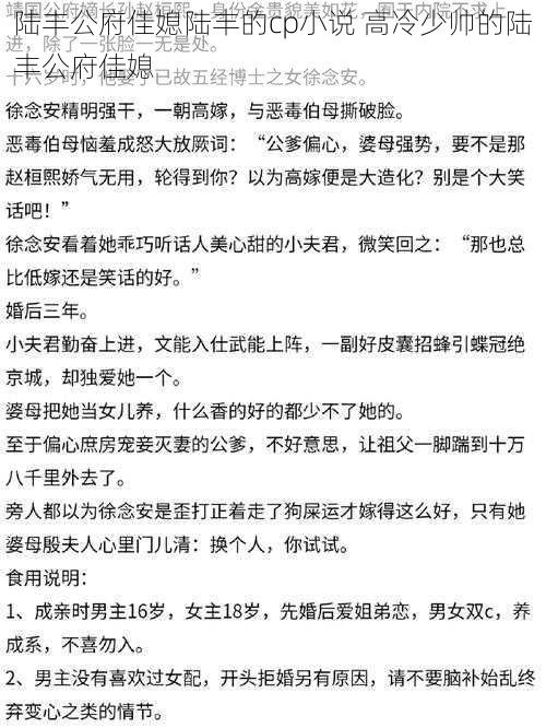 陆丰公府佳媳陆丰的cp小说 高冷少帅的陆丰公府佳媳