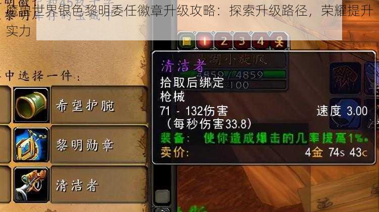 魔兽世界银色黎明委任徽章升级攻略：探索升级路径，荣耀提升实力