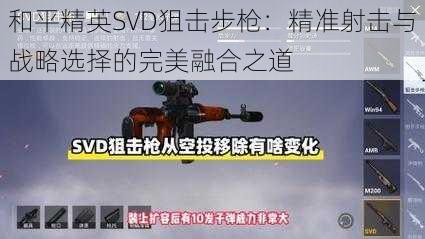 和平精英SVD狙击步枪：精准射击与战略选择的完美融合之道