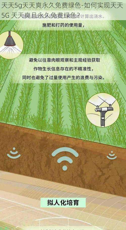 天天5g天天爽永久免费绿色-如何实现天天 5G 天天爽且永久免费绿色？