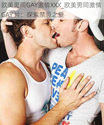 欧美男同GAY激情XXX_欧美男同激情 GAY 片：探索禁忌之爱