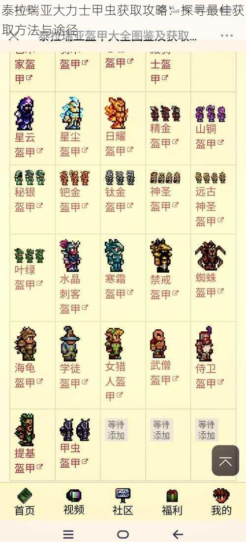 泰拉瑞亚大力士甲虫获取攻略：探寻最佳获取方法与途径