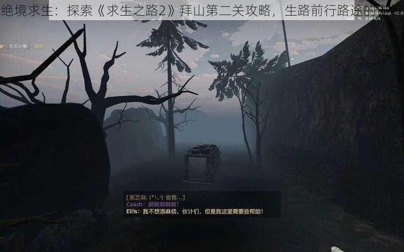 绝境求生：探索《求生之路2》拜山第二关攻略，生路前行路途的详解