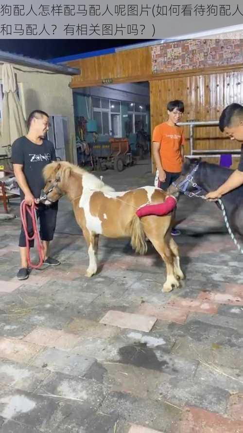 狗配人怎样配马配人呢图片(如何看待狗配人和马配人？有相关图片吗？)