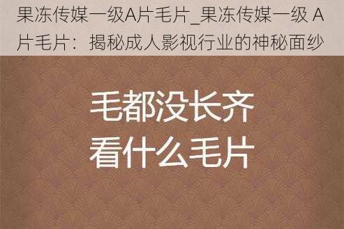 果冻传媒一级A片毛片_果冻传媒一级 A 片毛片：揭秘成人影视行业的神秘面纱