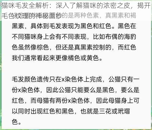 猫咪毛发全解析：深入了解猫咪的浓密之皮，揭开毛色纹理的神秘面纱