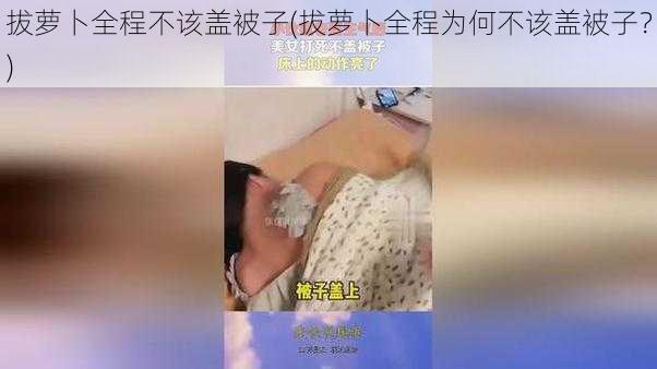 拔萝卜全程不该盖被子(拔萝卜全程为何不该盖被子？)