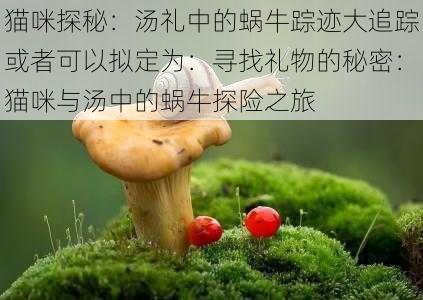 猫咪探秘：汤礼中的蜗牛踪迹大追踪或者可以拟定为：寻找礼物的秘密：猫咪与汤中的蜗牛探险之旅