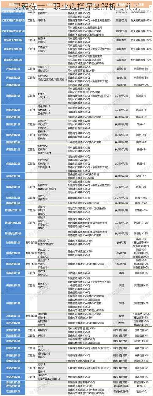 灵魂佐士：职业选择深度解析与前景