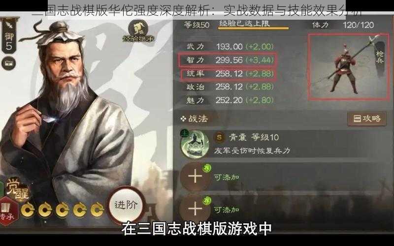 三国志战棋版华佗强度深度解析：实战数据与技能效果分析