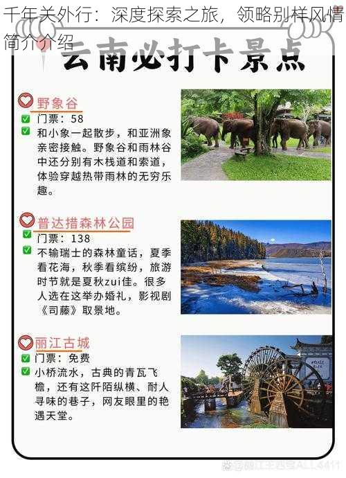 千年关外行：深度探索之旅，领略别样风情简介介绍