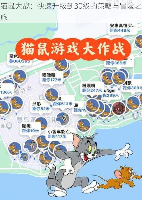 猫鼠大战：快速升级到30级的策略与冒险之旅