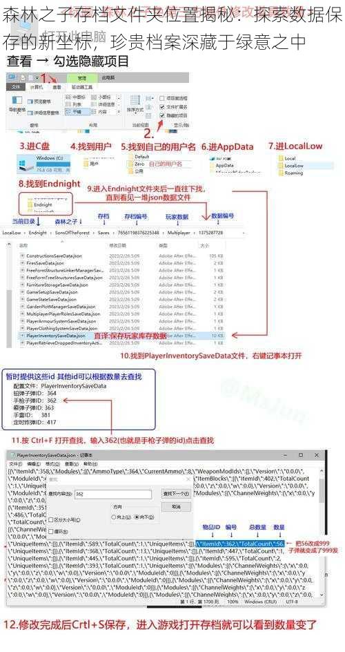 森林之子存档文件夹位置揭秘：探索数据保存的新坐标，珍贵档案深藏于绿意之中