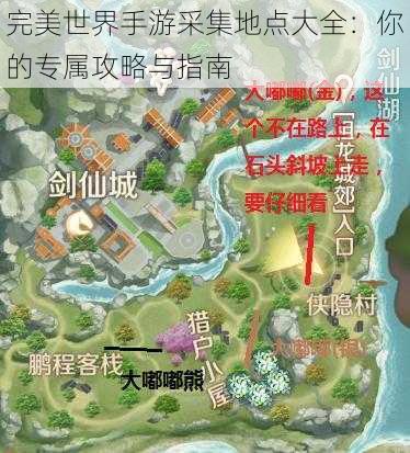 完美世界手游采集地点大全：你的专属攻略与指南