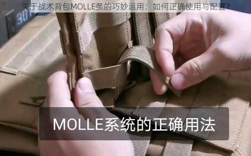 关于战术背包MOLLE条的巧妙运用：如何正确使用与配置？