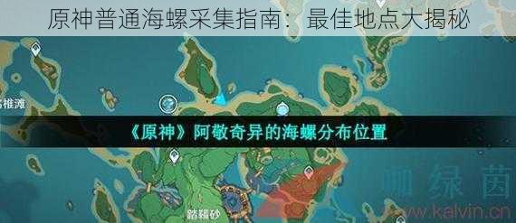 原神普通海螺采集指南：最佳地点大揭秘