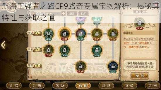 航海王强者之路CP9路奇专属宝物解析：揭秘其特性与获取之道