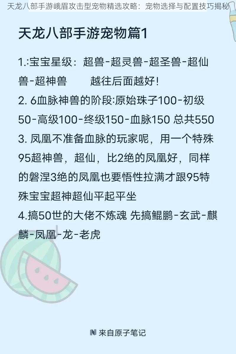 天龙八部手游峨眉攻击型宠物精选攻略：宠物选择与配置技巧揭秘