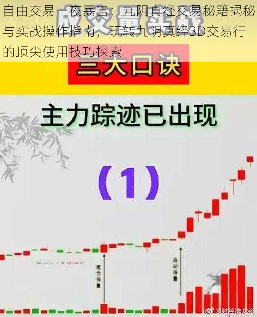 自由交易一夜暴富：九阴真经交易秘籍揭秘与实战操作指南，玩转九阴真经3D交易行的顶尖使用技巧探索